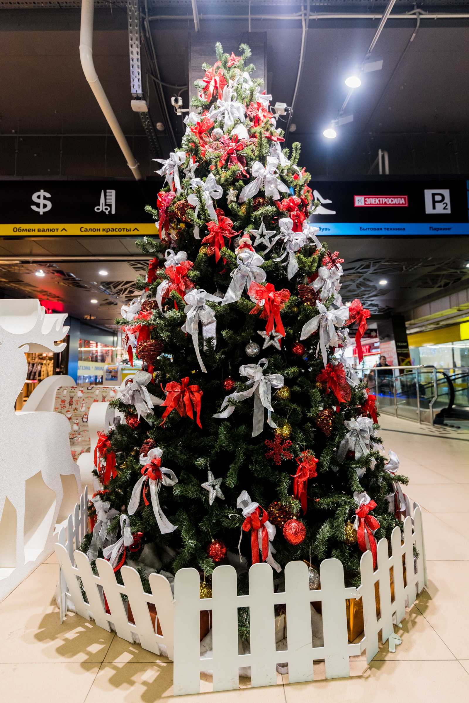 New Year's Minsk! - My, Minsk, Republic of Belarus, 2019, New Year, Christmas, Longpost