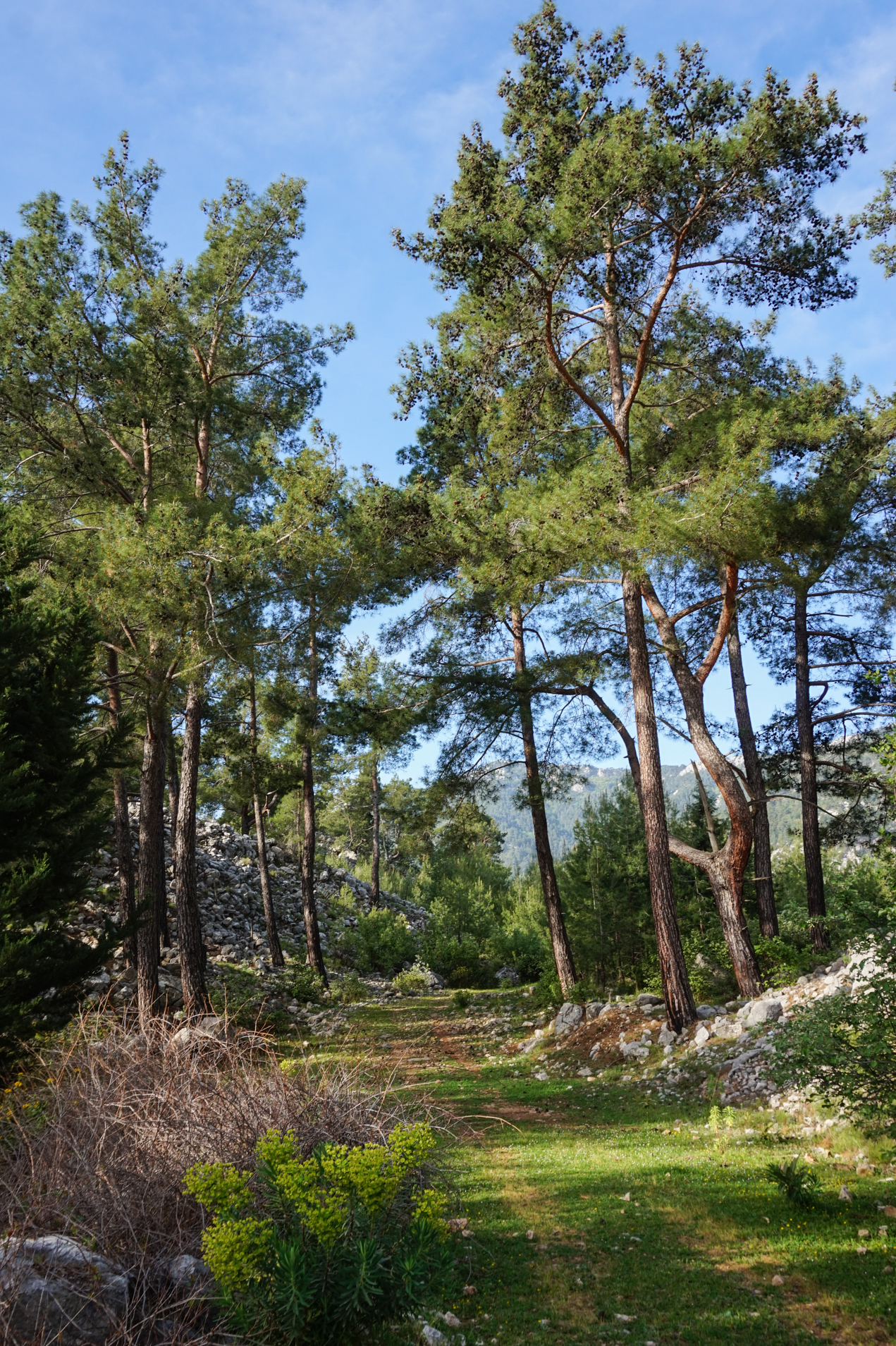 Lycian Way Day 5 - My, Lycian Trail, Turkey, Hike, Chimera Lights, Longpost