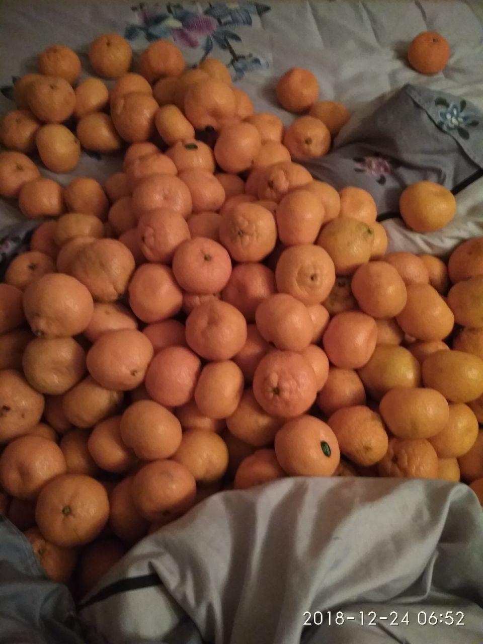 Fall asleep!) FATALITY)) - My, Tangerines, New Year, , Longpost