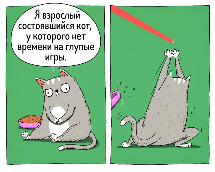 14 Proofs That Cats Are The Most Controversial Creatures On The Planet - ADME, Comics, cat, Longpost