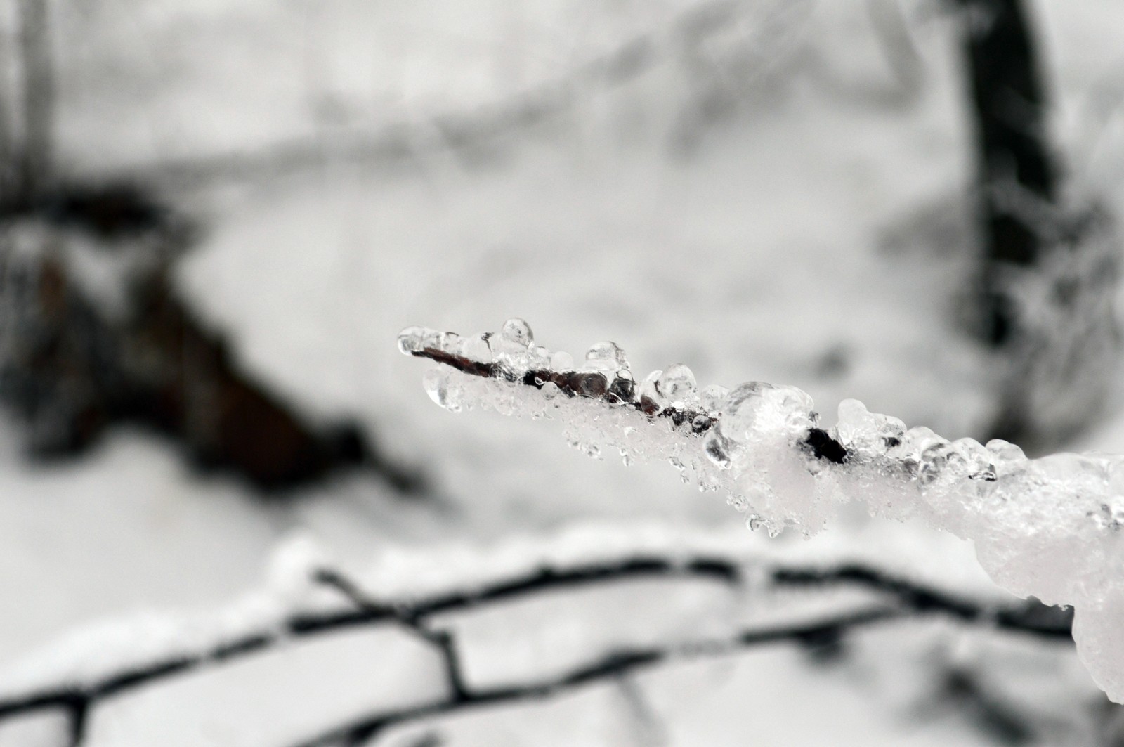 Zimushka winter... - My, The photo, Winter, Nature, Nikon d3200, Volgograd, Longpost