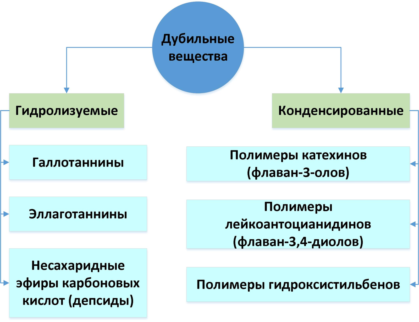 Хурма 2.0 Инструкция по употреблению (и про сушеную хурму =) | Пикабу