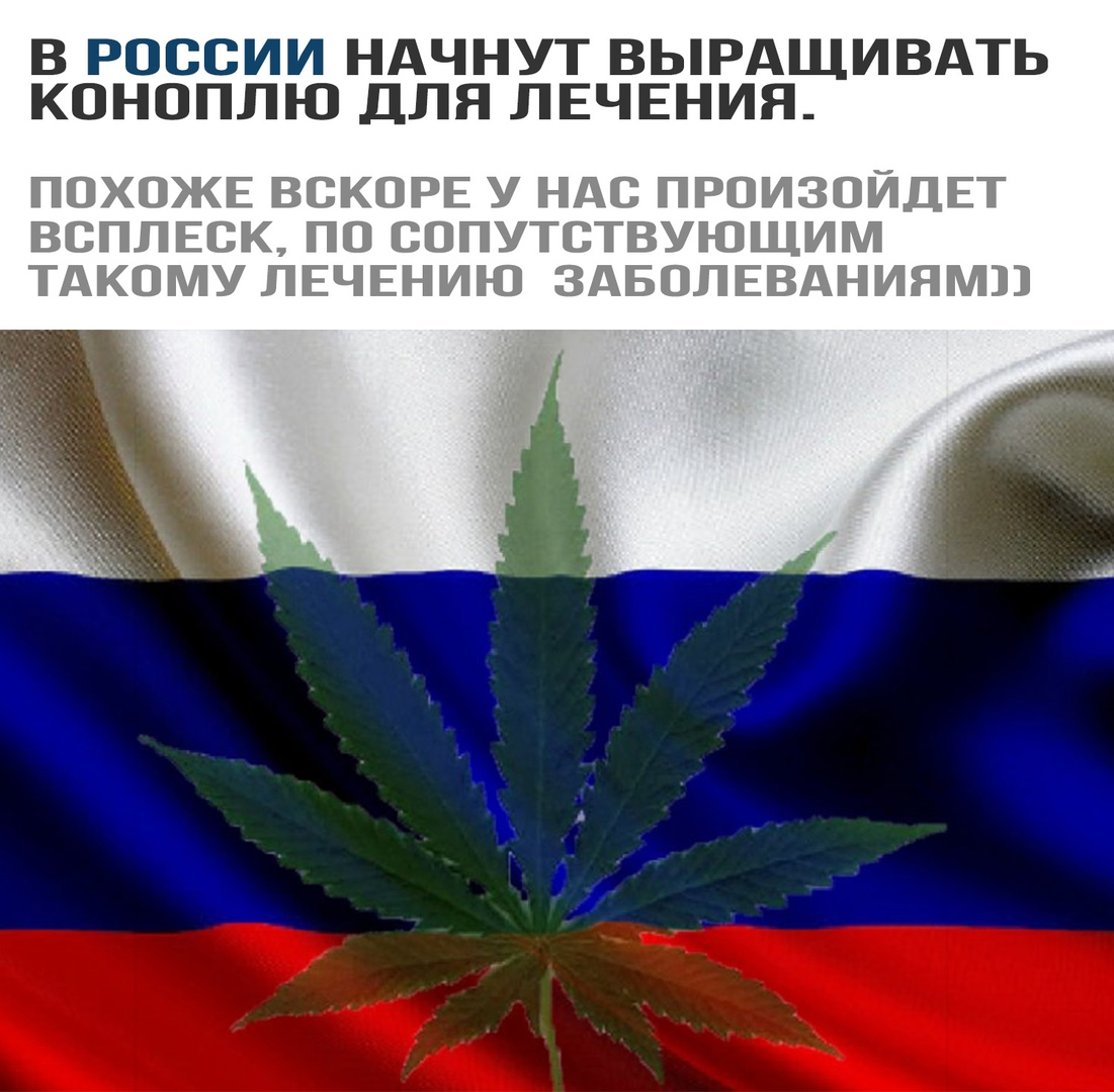 Россия и марихуана сколько растет гидропоника конопля