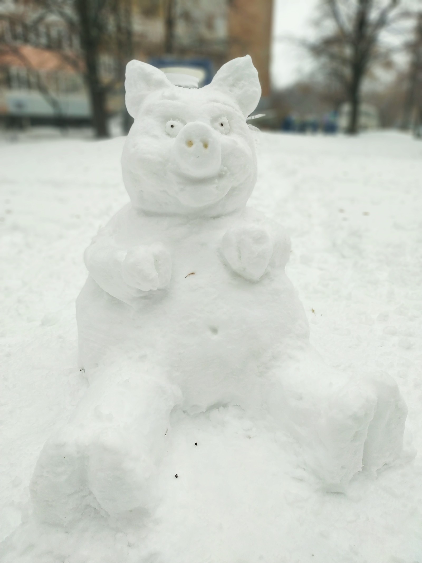 snowman pig - My, snowman, Snow