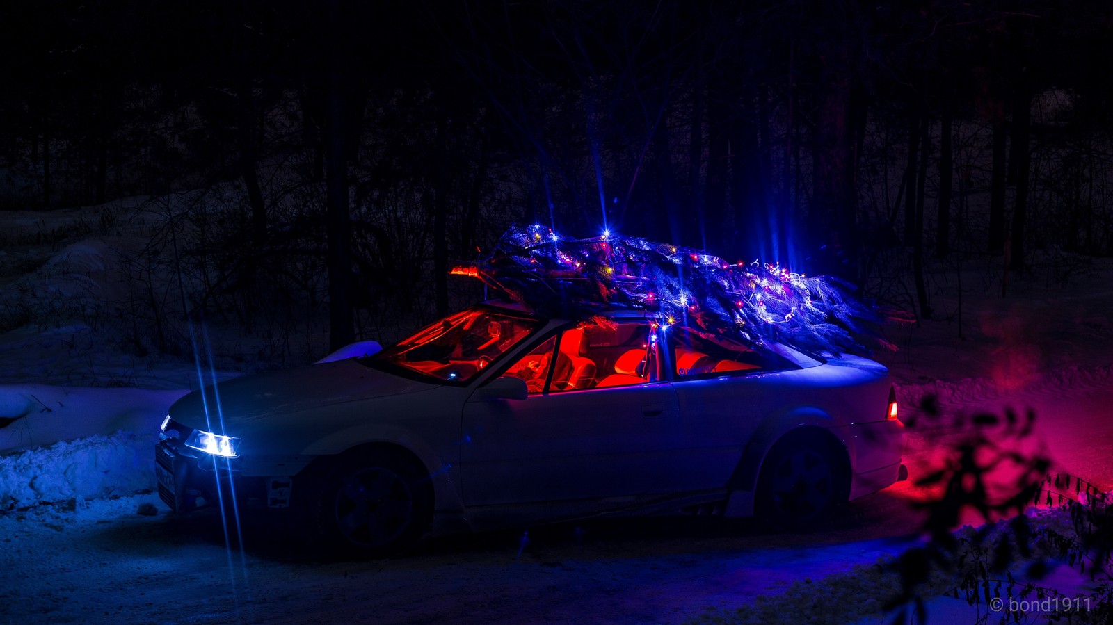 Christmas mood in the forest - My, Opel, Forest, Night, New Year, Christmas trees, Garland, Longpost