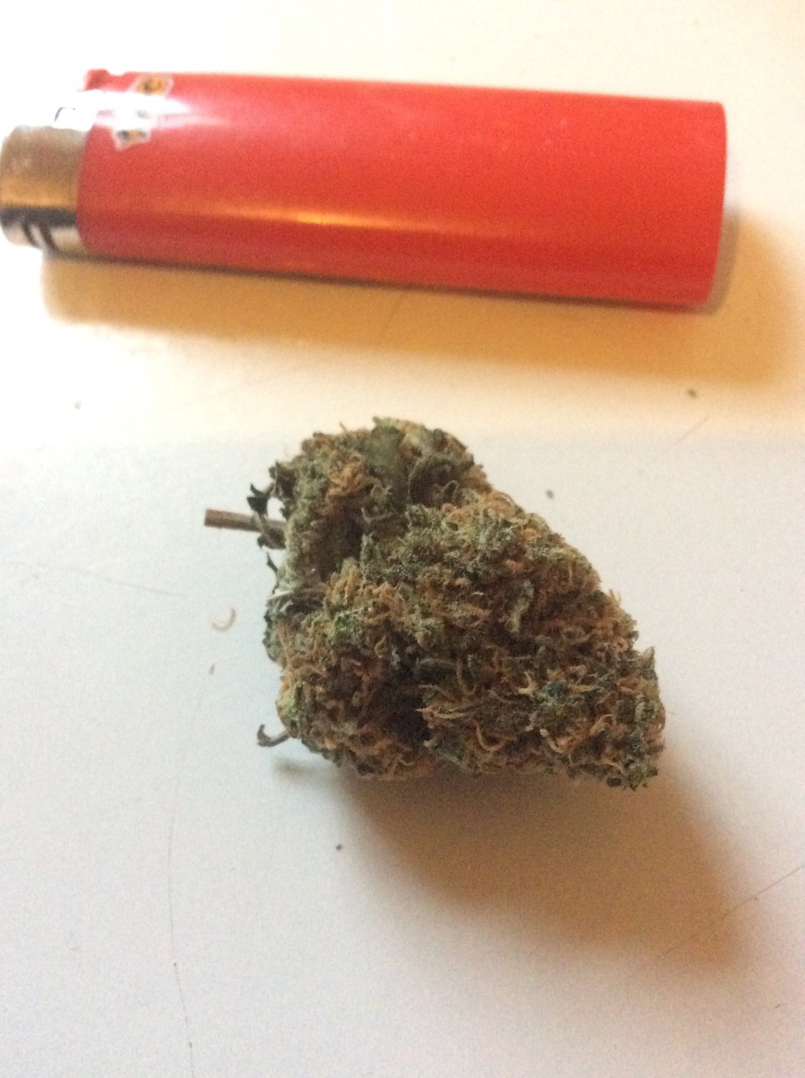 Orange crush! - NSFW, My, Grass, Marijuana, , Vancouver, Legalization, Longpost, Tag