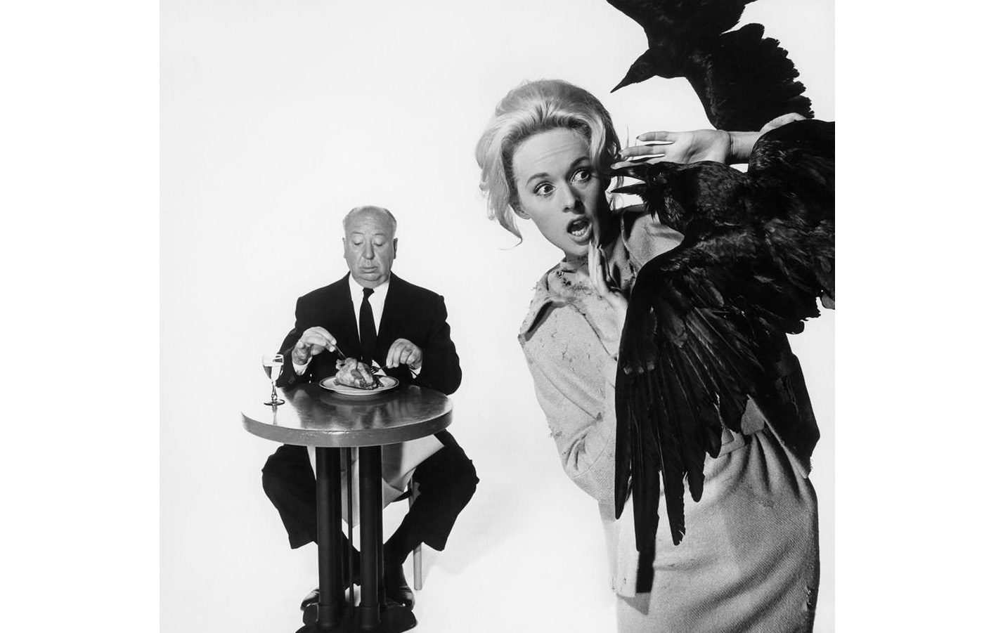 Film Birds. - My, Alfred Hitchcock, Birds, Horror, Horror, Filming, Photos from filming, Longpost