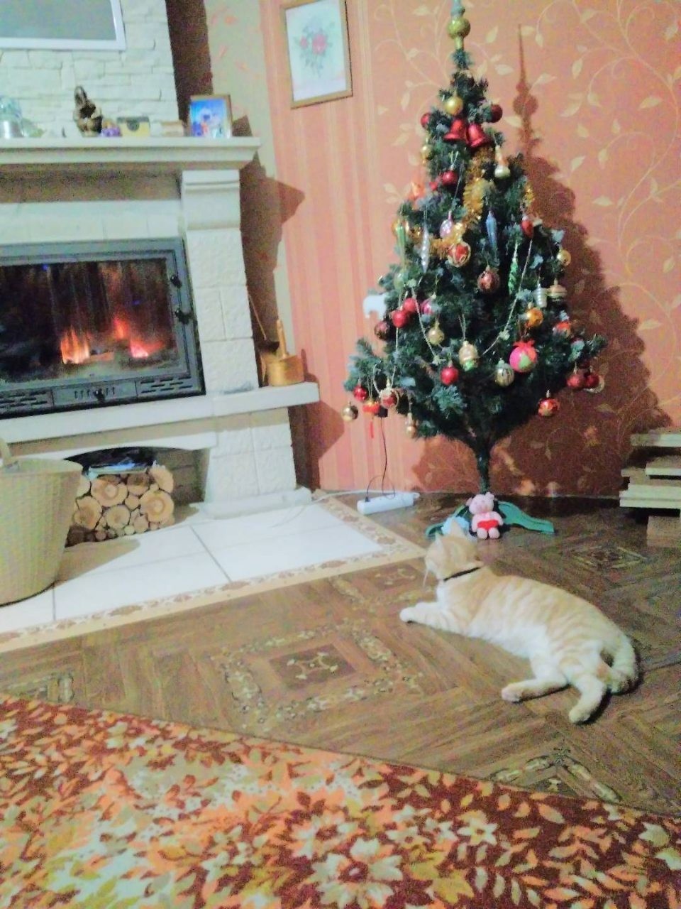 New Year's chaos! - My, New Year, cat, Christmas tree, Fireplace, Longpost