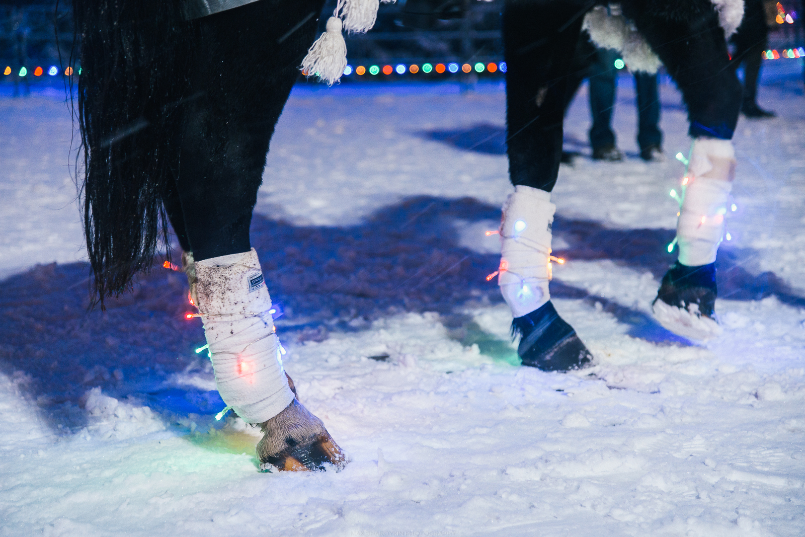 Happy New Year from Bobruisk! - My, Longpost, The photo, New Year, Winter, Republic of Belarus, Snow, Holidays, Bobruisk