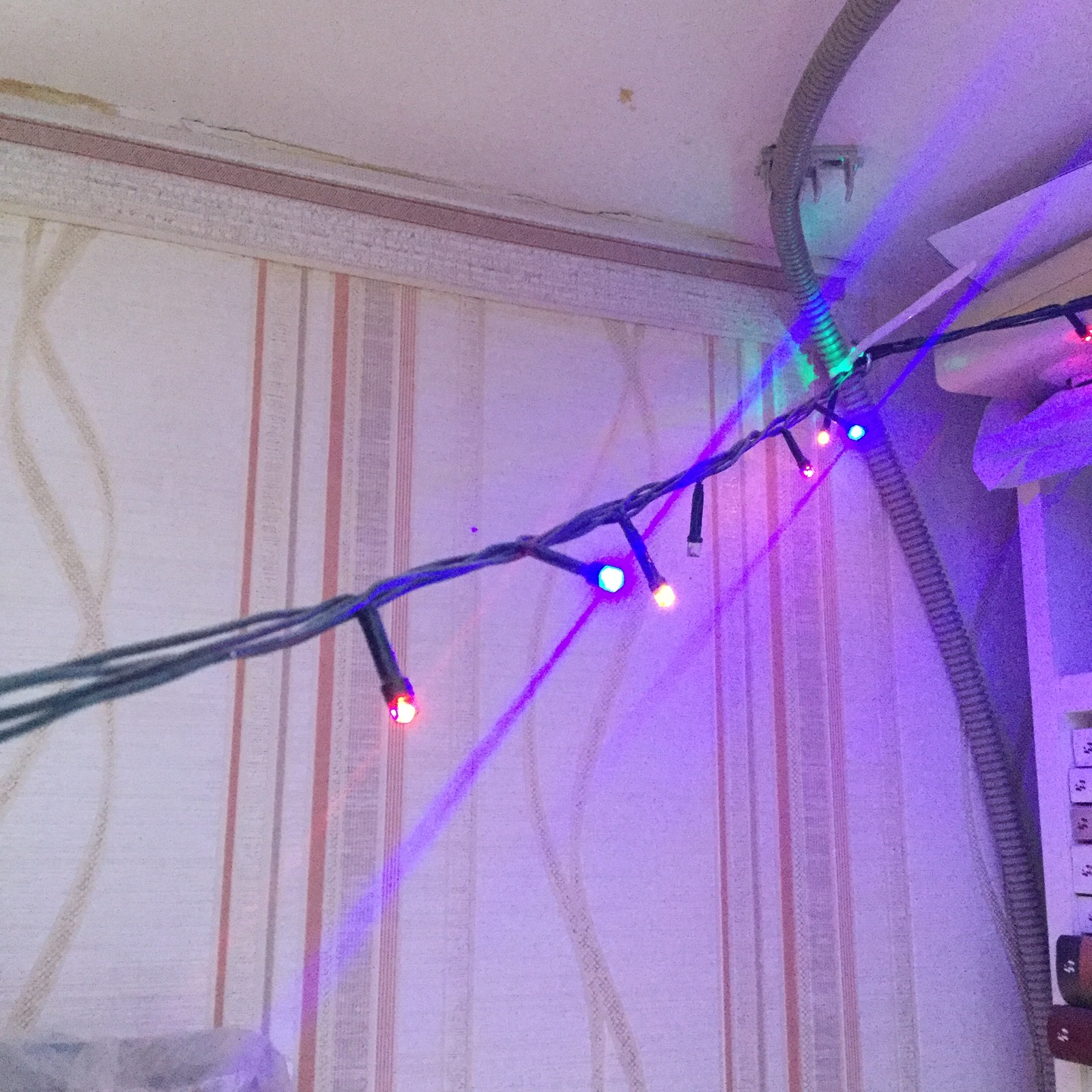 IT garland - My, Rj-45, Garland, New Year, Video, Longpost