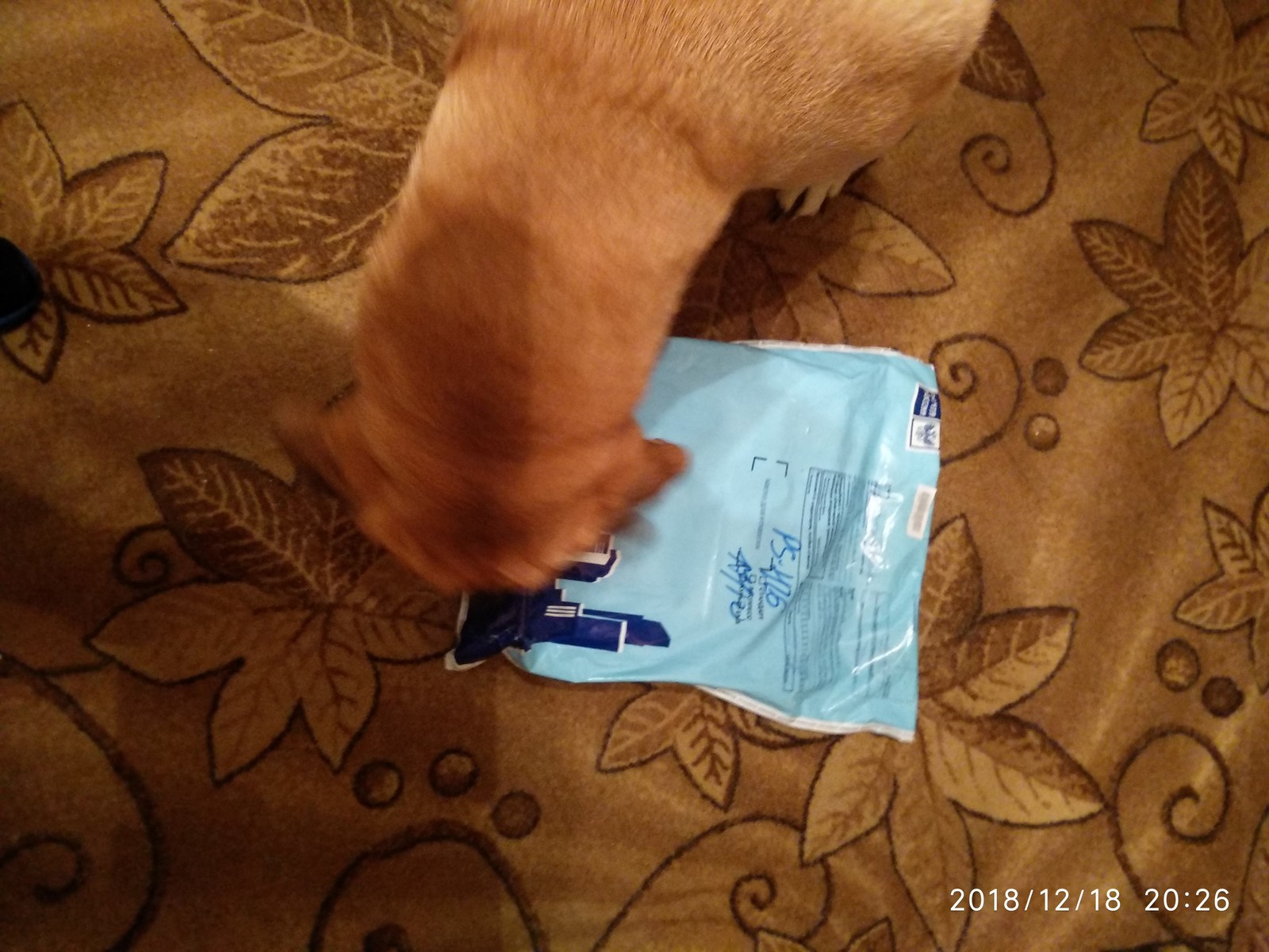 Подарок из Сочи :) | Пикабу