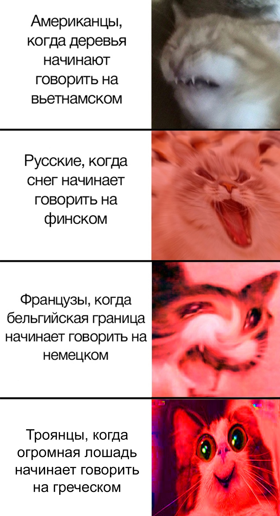 Троянцы любят пони | Пикабу