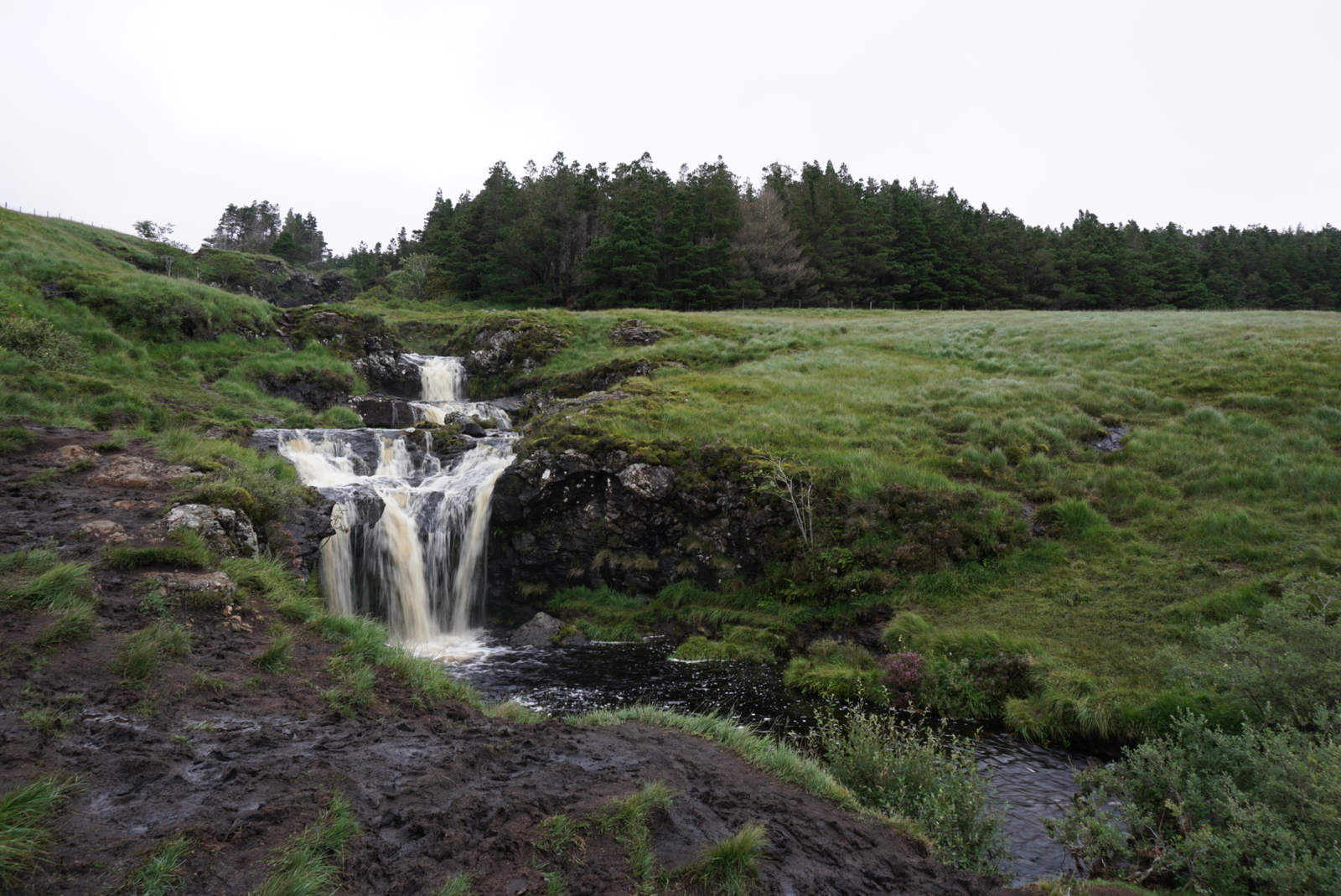 Scotland by car. Day 3 - My, Travels, Nature, Scotland, The photo, beauty of nature, Greenery, Fog, Landscape, Longpost