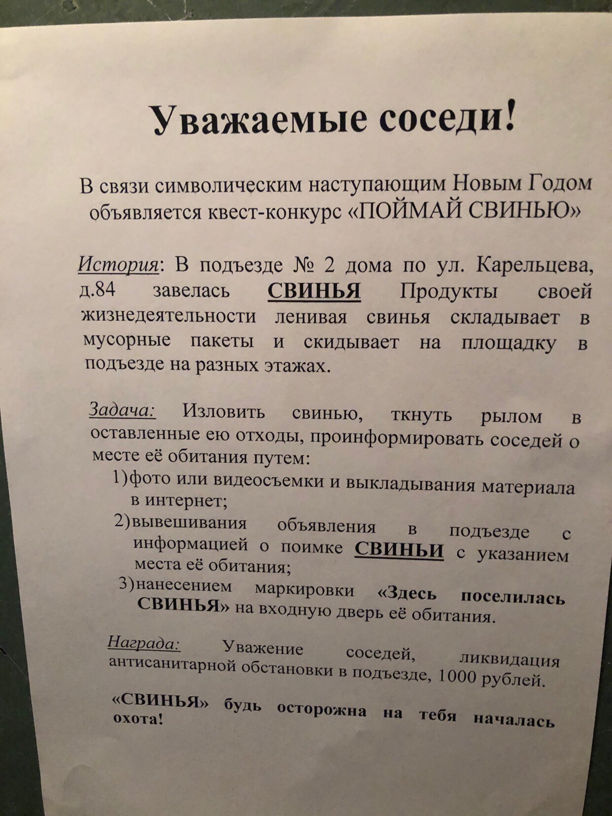 Поймай свинью» или предновогодний квест | Пикабу