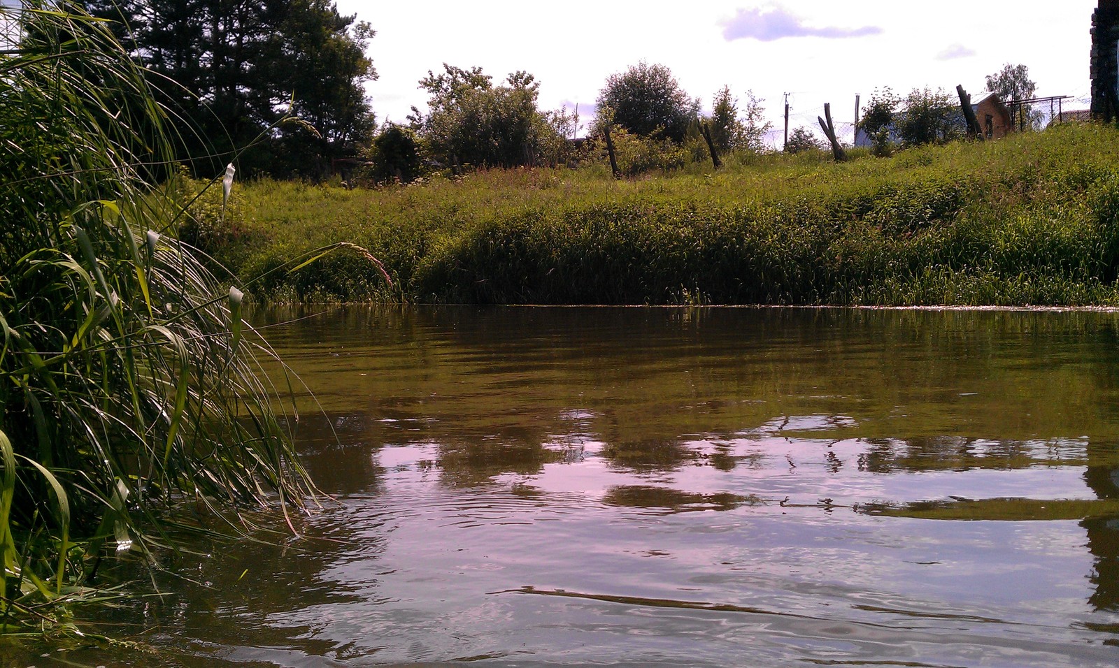 Small river - My, River, Подмосковье, , Krasnoarmeysk, Longpost