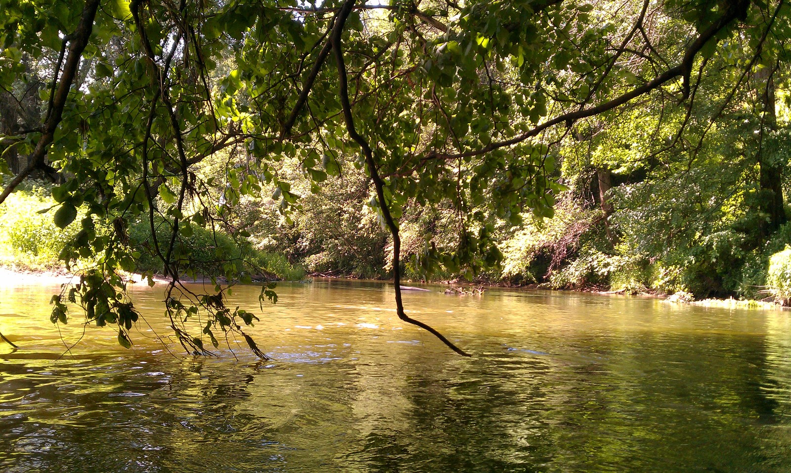 Small river - My, River, Подмосковье, , Krasnoarmeysk, Longpost