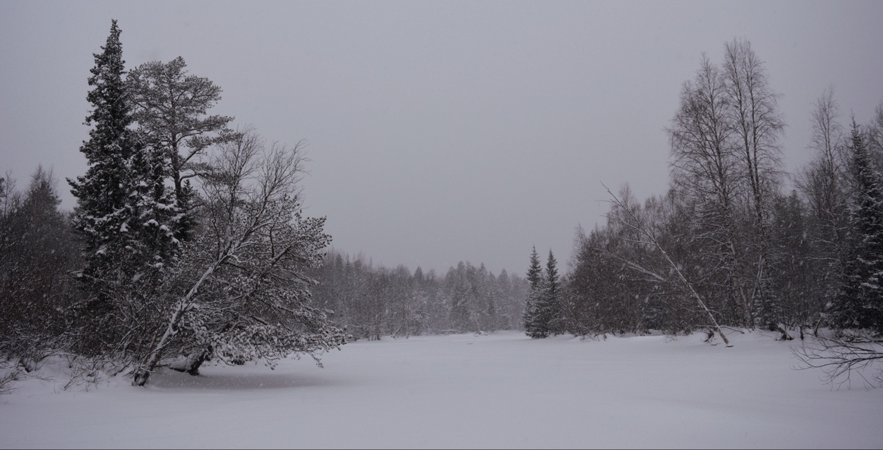 Forest and river in winter - Winter, River, Forest, Severodvinsk