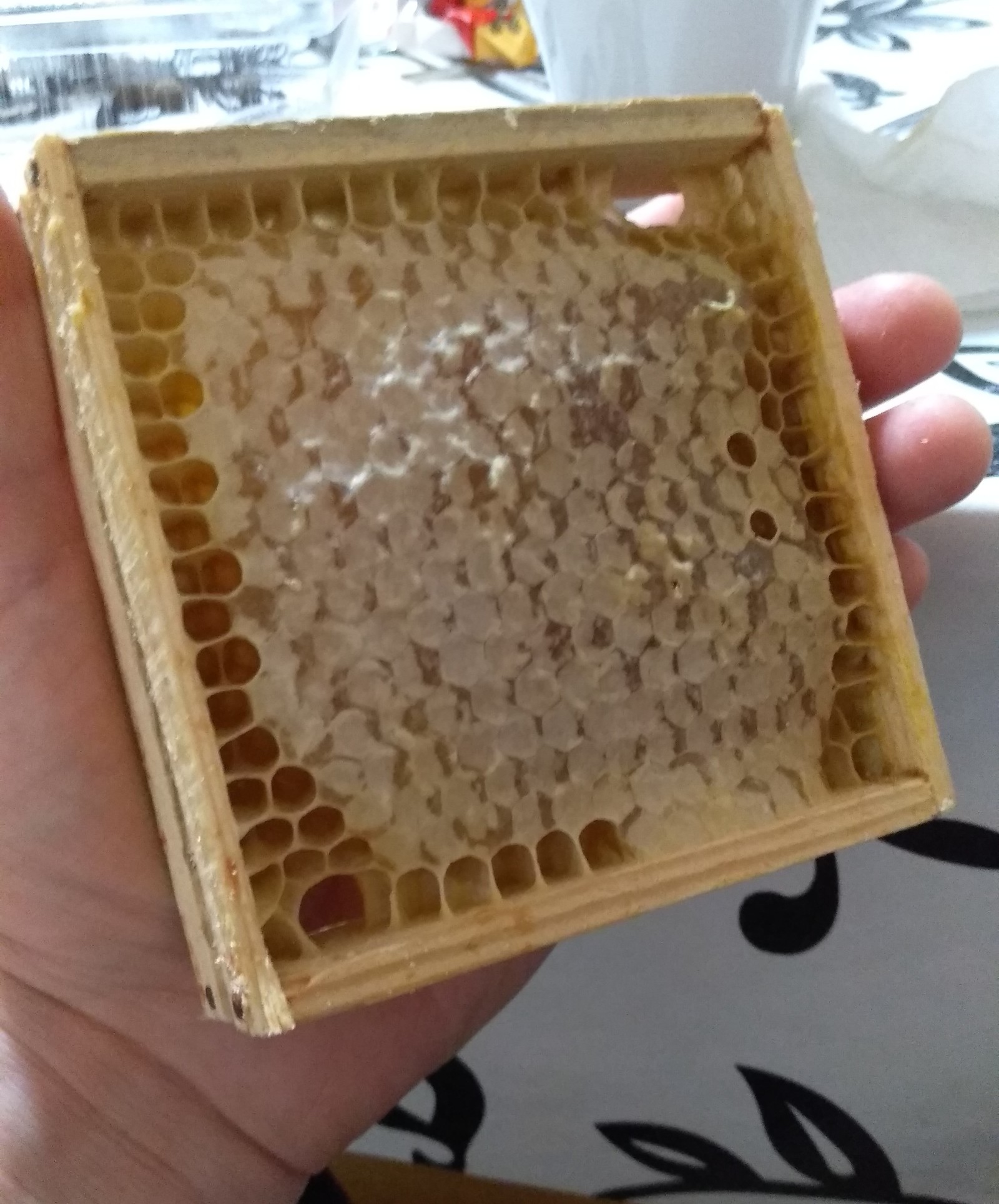 Honeycomb in the palm - My, Honey, Honeycomb, Miniature, Homemade, Naturally, Longpost