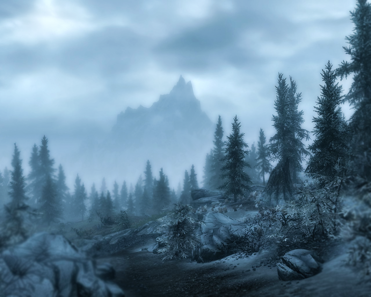 View of Bleak Falls Barrow - Skyrim - My, Skyrim, The Elder Scrolls V: Skyrim, Screenshot