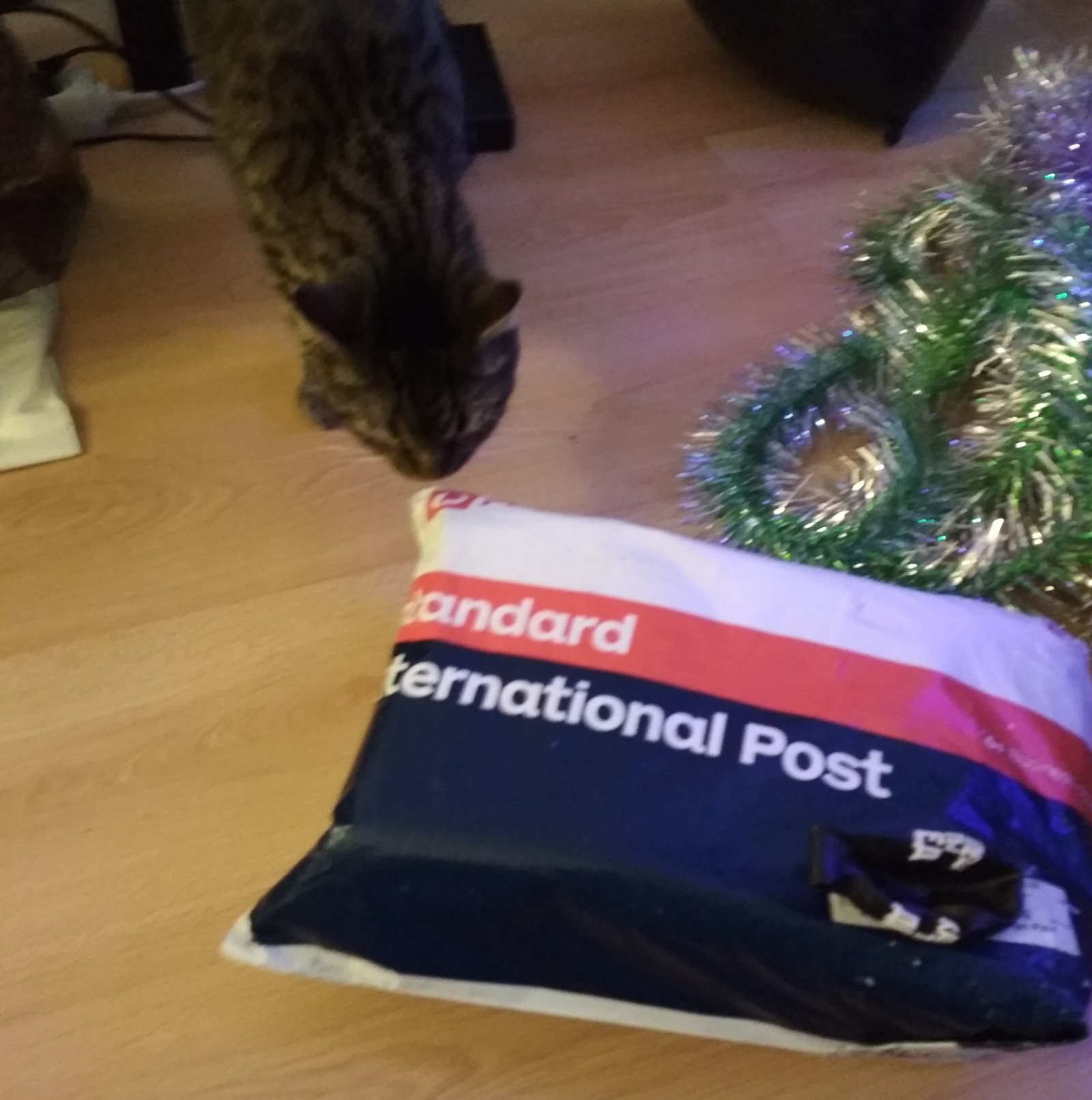 ADM Australia-Moscow - My, Gift exchange, New Year's gift exchange, cat, Gift exchange report, Longpost, Secret Santa