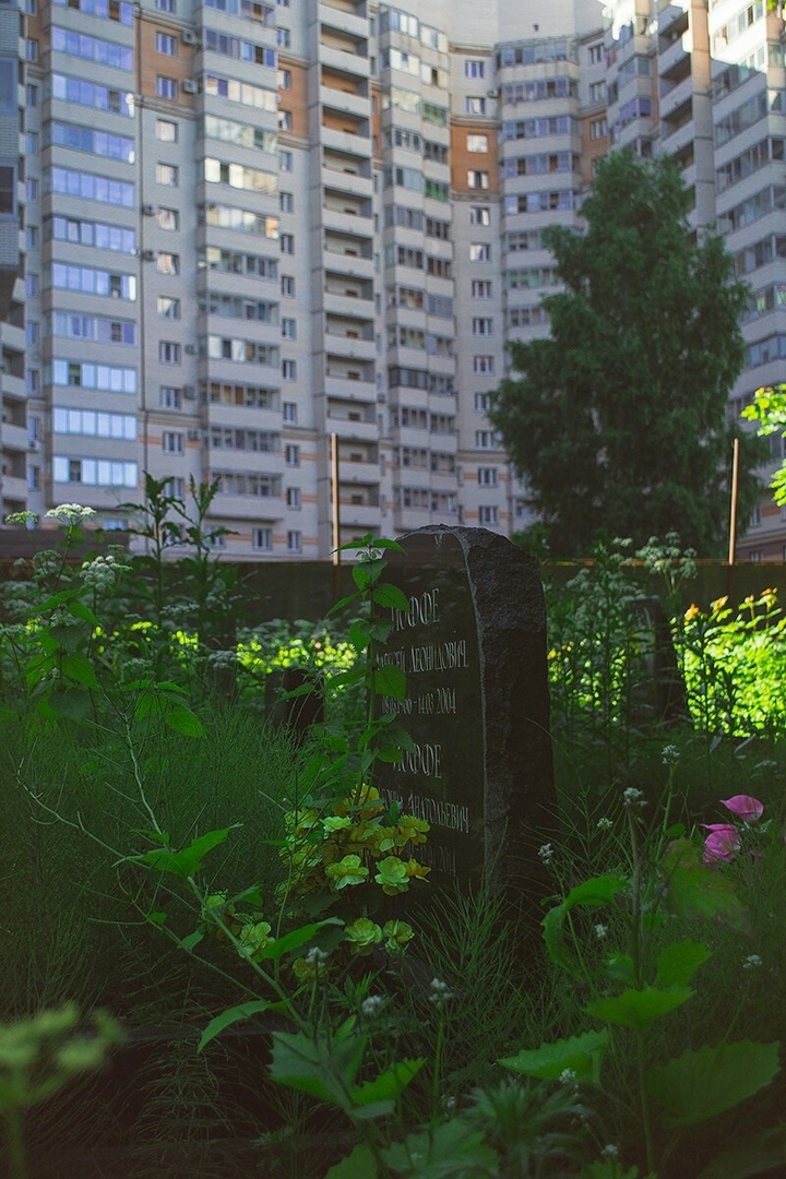 Quiet neighbors - Cemetery, New building, Neighbours, Longpost, Saint Petersburg