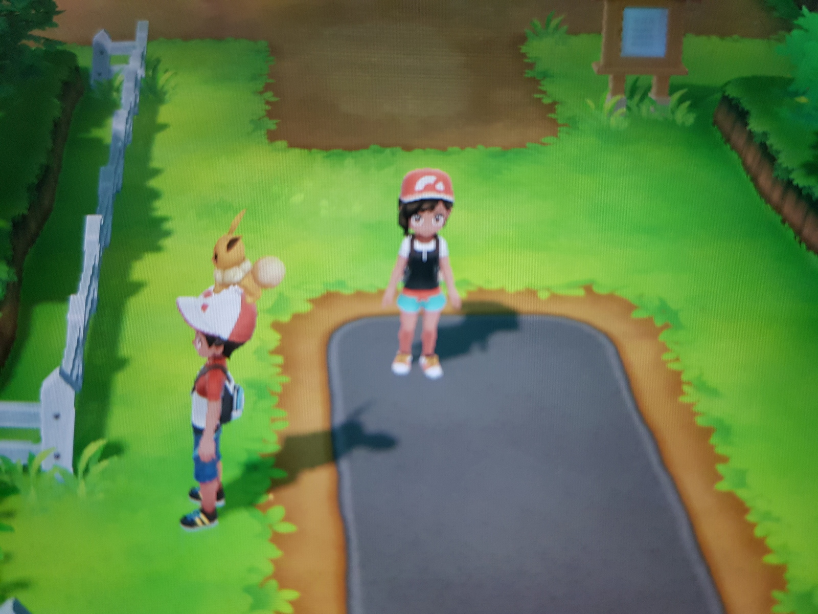 In the game pokemon let's go eevee, some girl began to teleport behind me. - Nintendo switch, , Pokemon, Nintendo, Teleportation