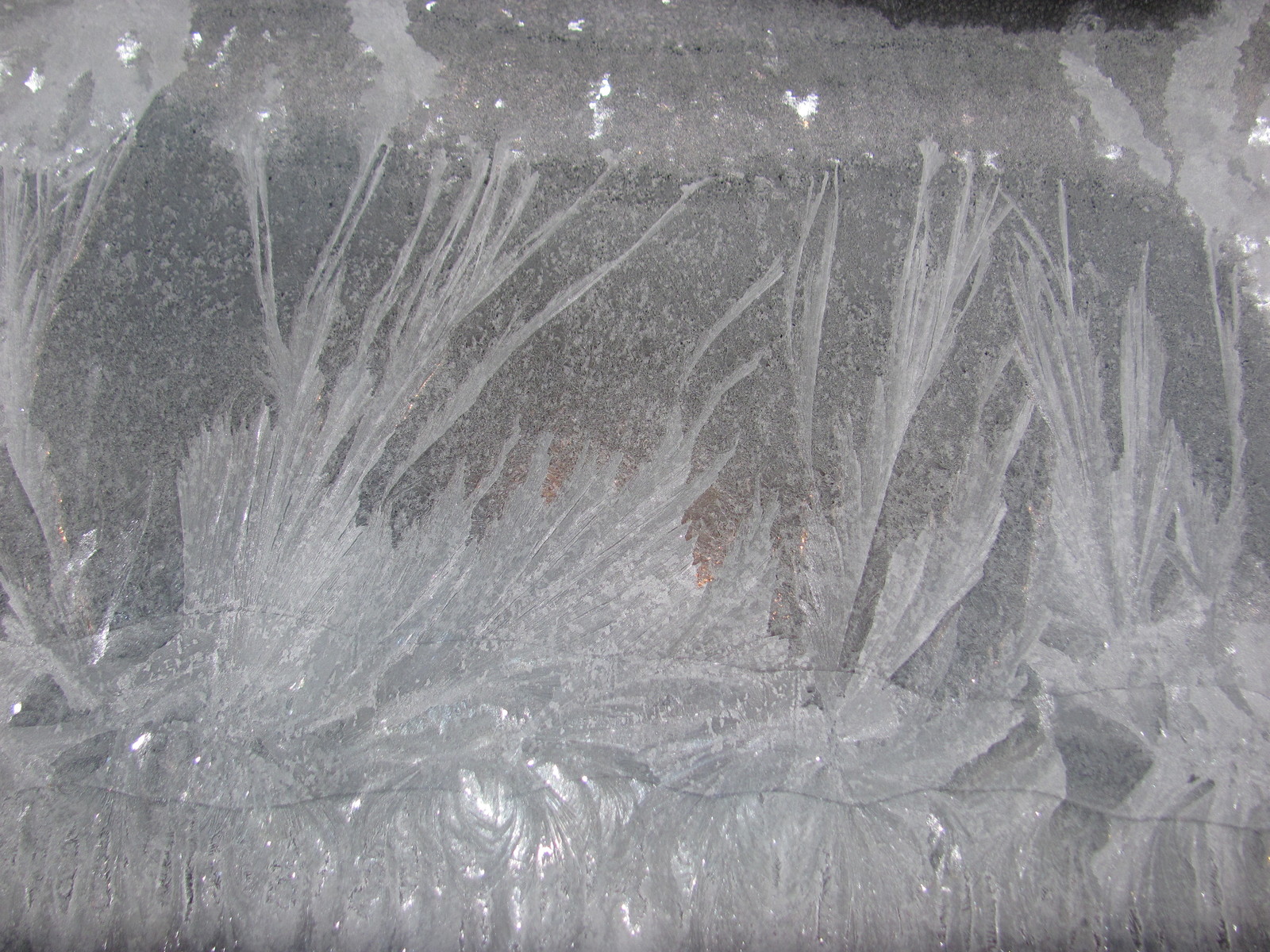 Frost patterns - My, Patterns on the window, Winter, , beauty of nature, Longpost