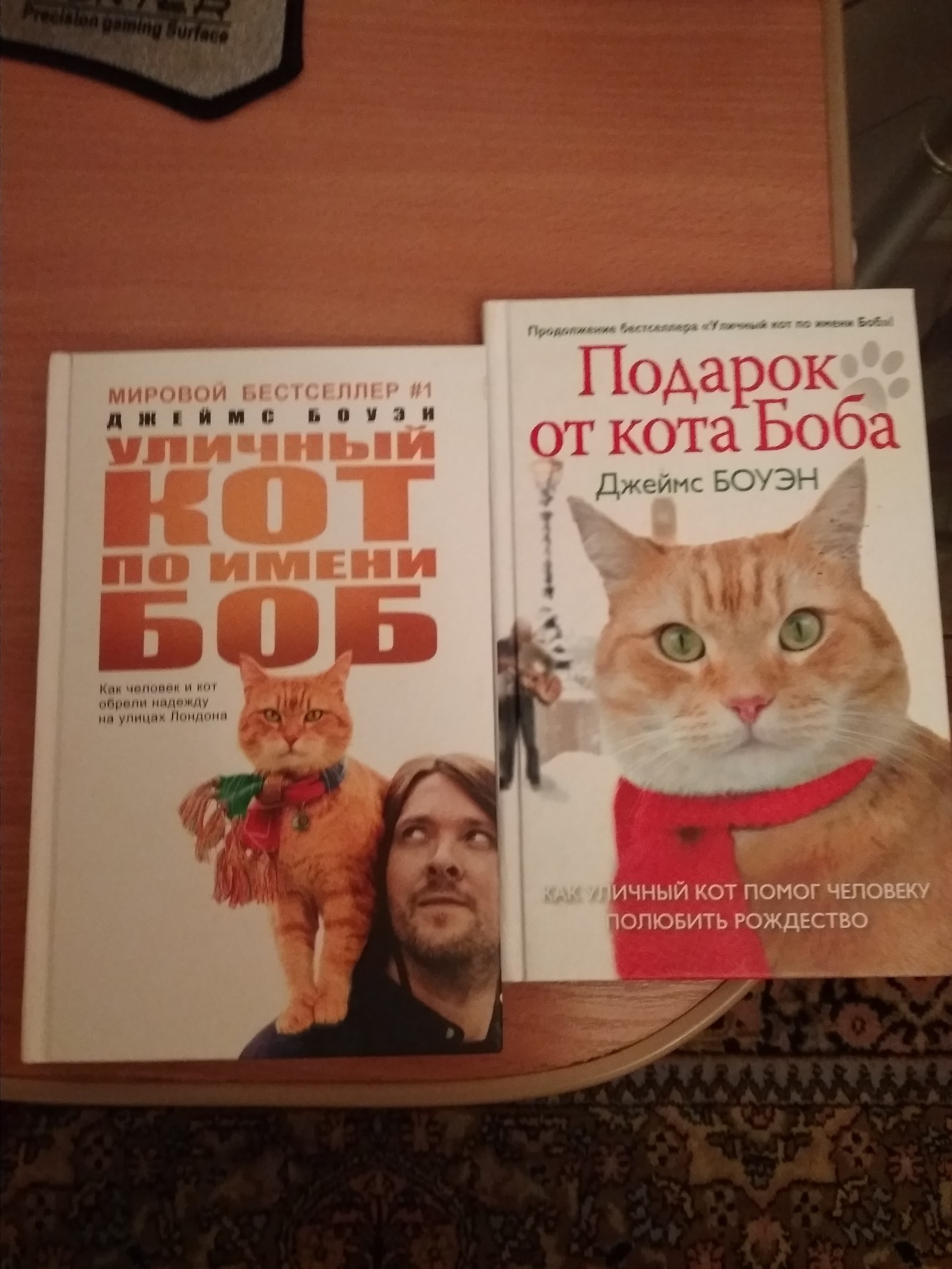 A street cat named Bob - Books, Street cat named Bob, Longpost, Advice