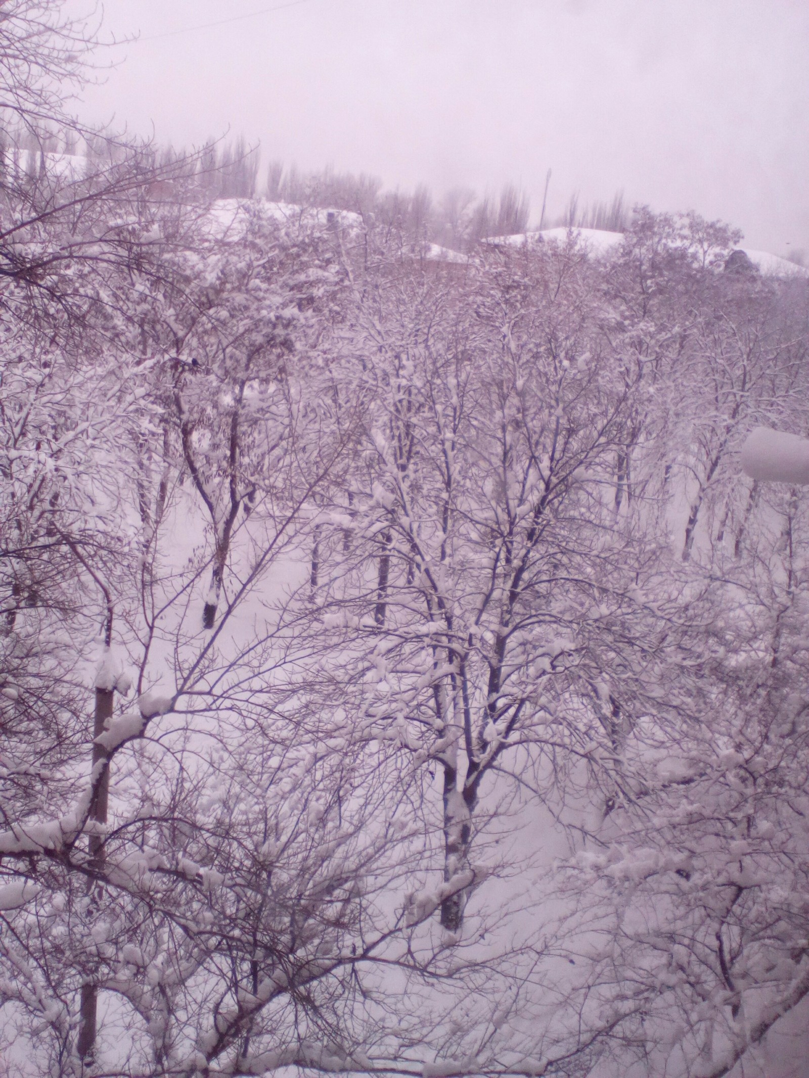 Winter from the window - My, Winter, No rating