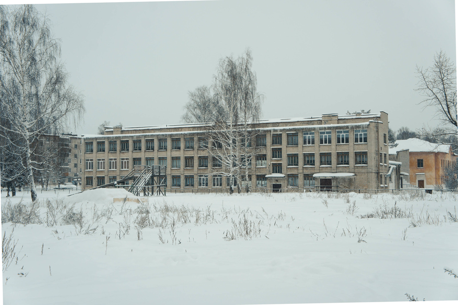 In winter, in the village - where the pines grow - My, Travels, Winter, Story, Travel across Russia, Marmot, Longpost