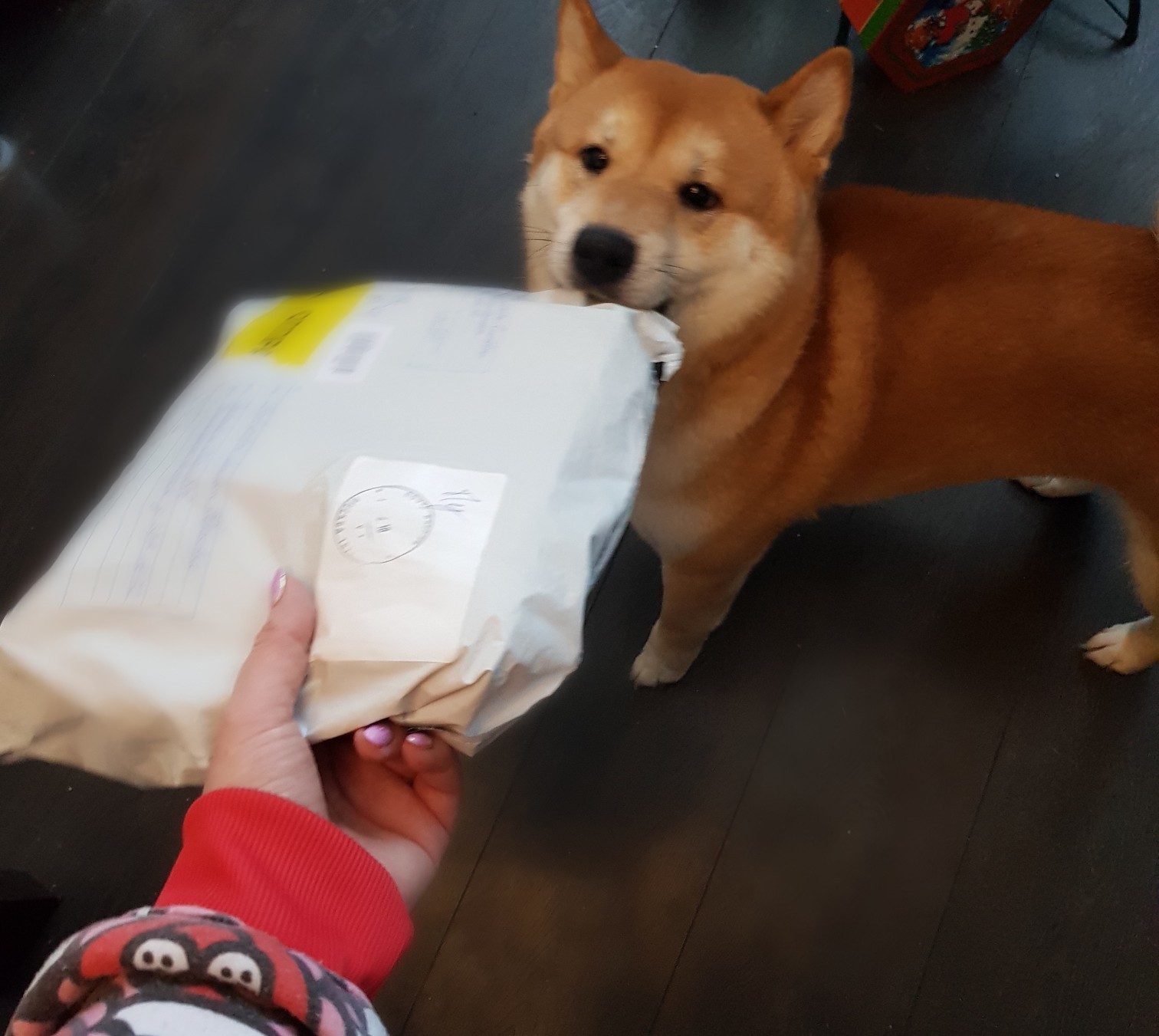 ADM Moscow - Tambov - My, Gift exchange, Longpost, Secret Santa, New Year's gift exchange, Shiba Inu, Gift exchange report