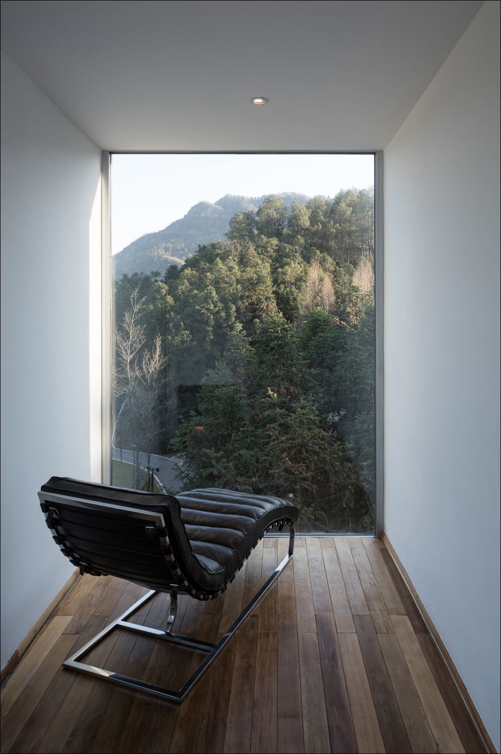 Relaxation corner - Room, Armchair, Forest, View