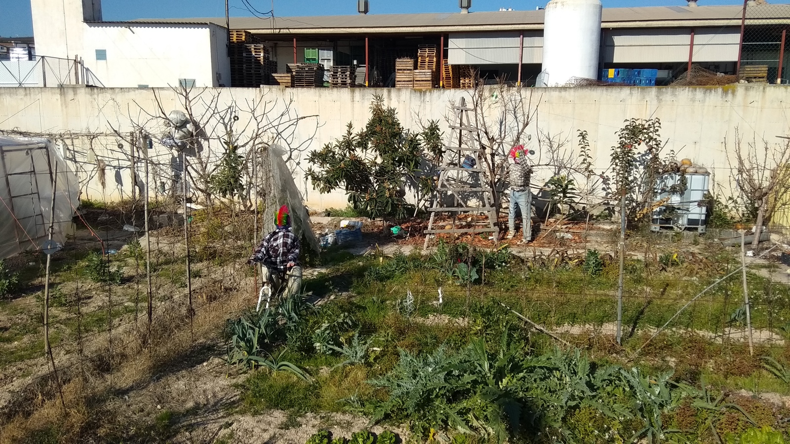 Here is such a garden, at the neighbor's old woman. Archena, Spain - My, Scarecrow, Punk rock, Spain, Longpost