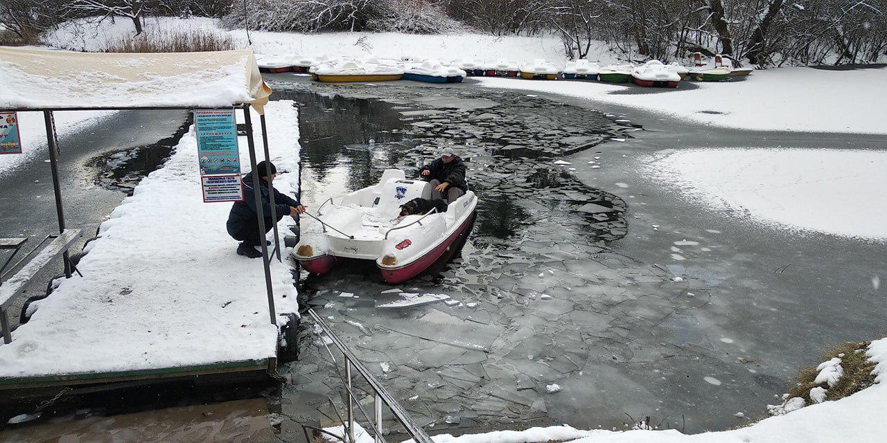 In Simferopol, a man rescued a dog that had fallen through the ice. - Animal Rescue, Dog