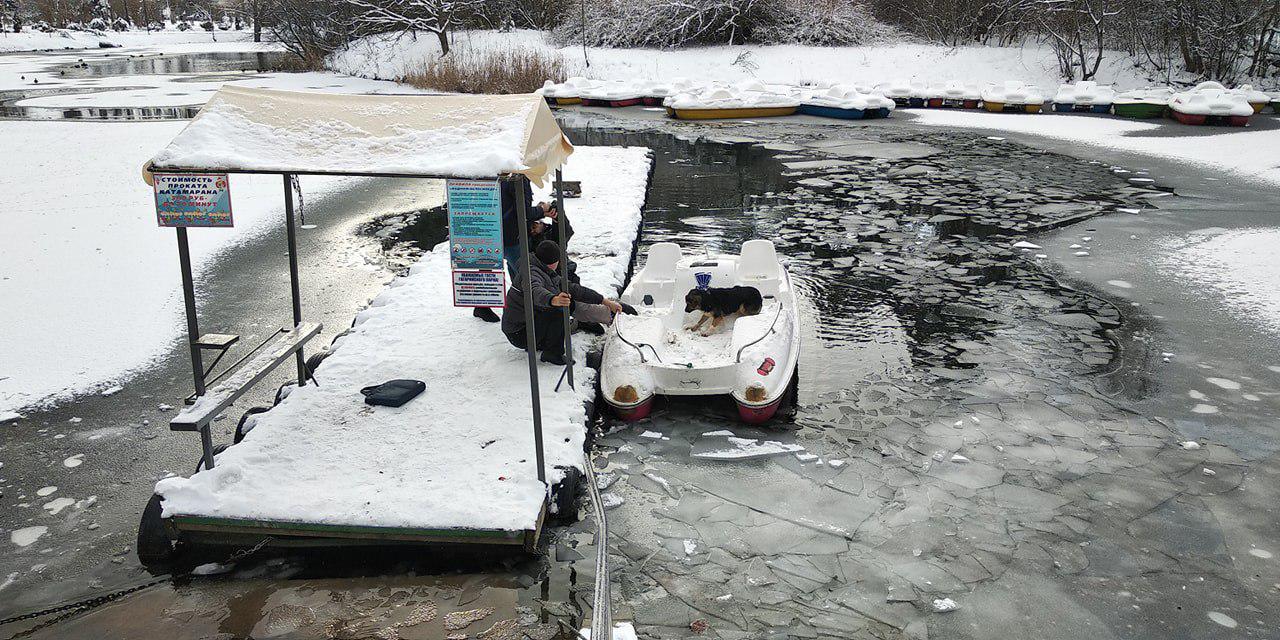 In Simferopol, a man rescued a dog that had fallen through the ice. - Animal Rescue, Dog