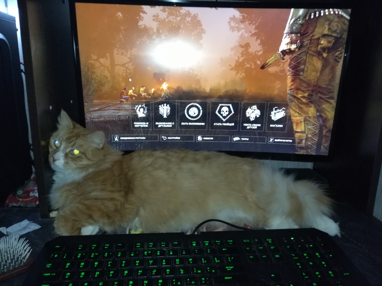 But not so scary - My, Games, Dead by daylight, cat