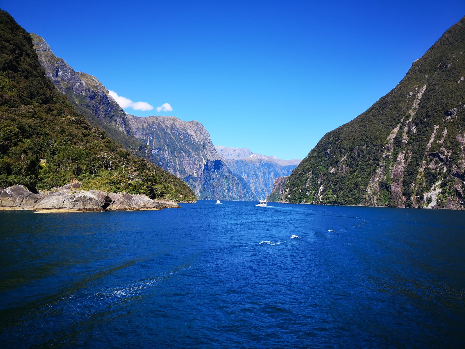 Новая Зеландия. Южный остров. Национальный парк Фьордленд. Milford Sound. Собственно фьорд. #10 - Моё, Фотография, Новая Зеландия, Национальный парк, Красота природы, Фьорды, Дикая природа, Природа, Океан