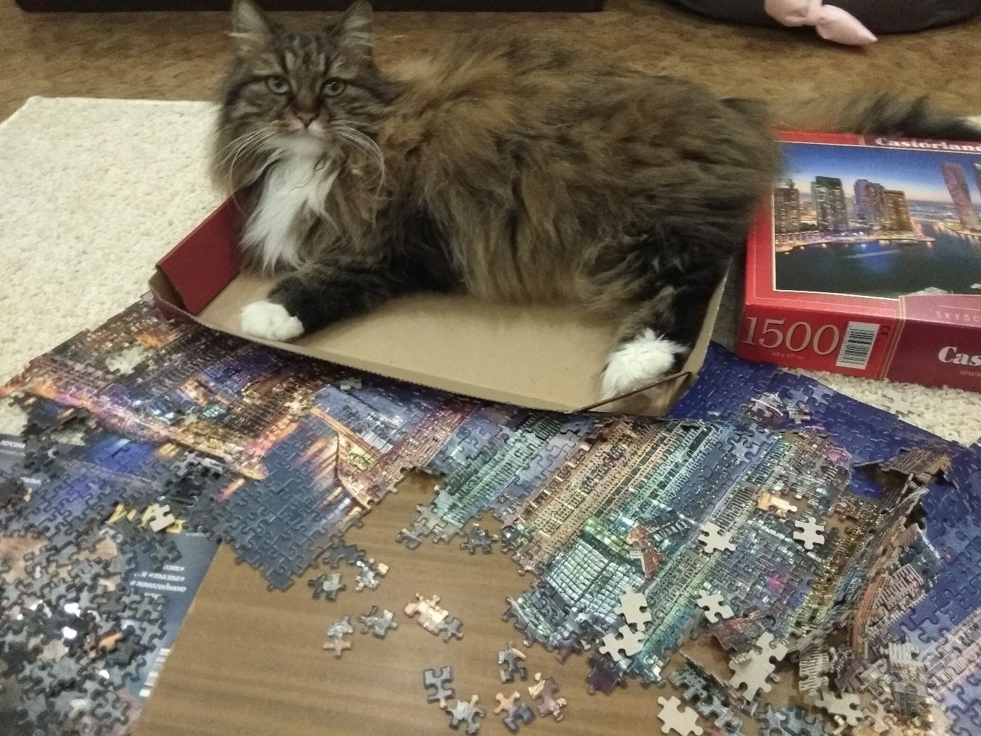 Dubai was almost built...but... - My, cat, Puzzle, Destruction, Collapse, Dubai