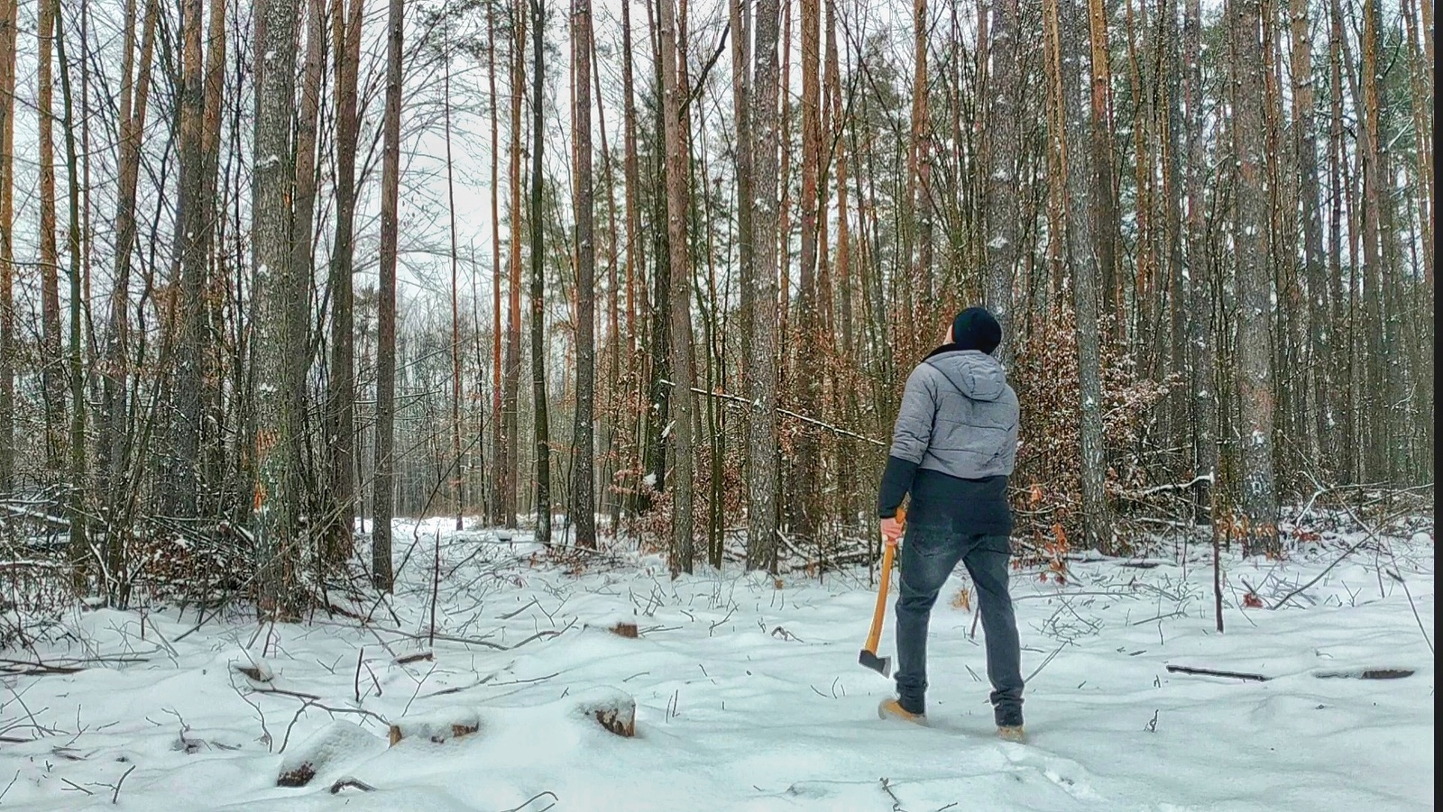 Exit to the forest - My, Forest, Bushcraft, , Axe, wildlife