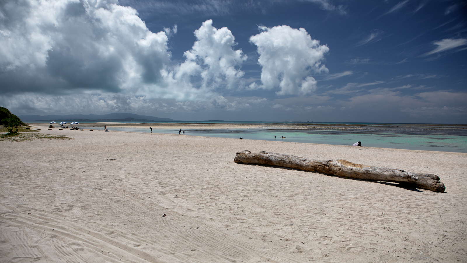 Photo from Okinawa - My, Japan, Okinawa, , Spring, Longpost