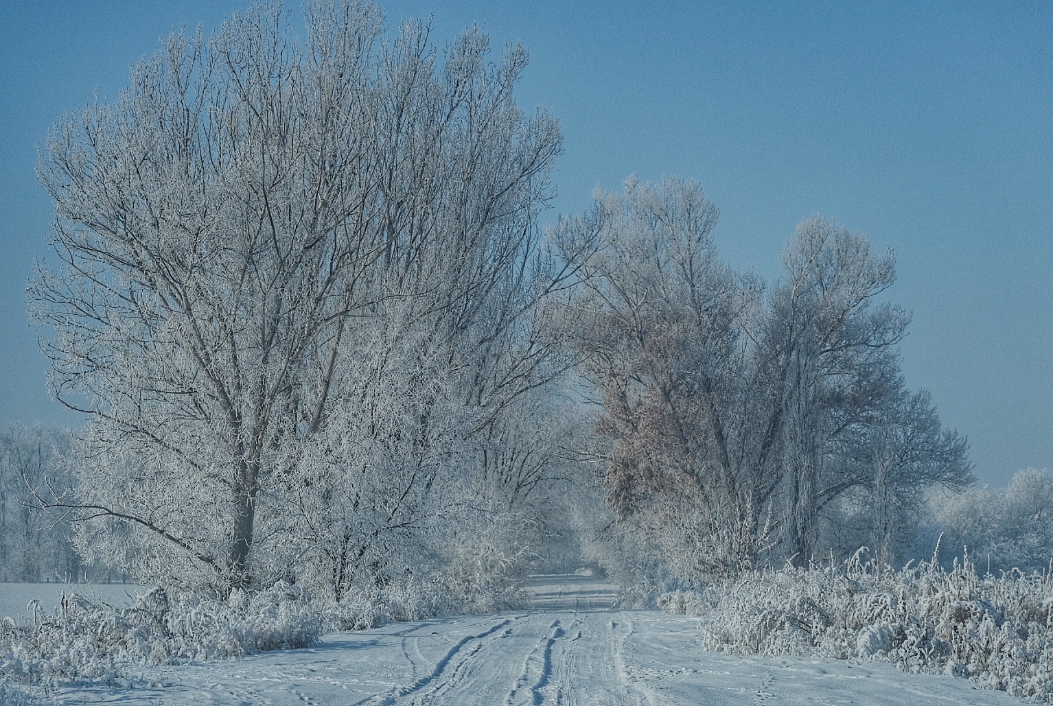 Frosty morning - My, Nature, Almaty Oblast, Longpost