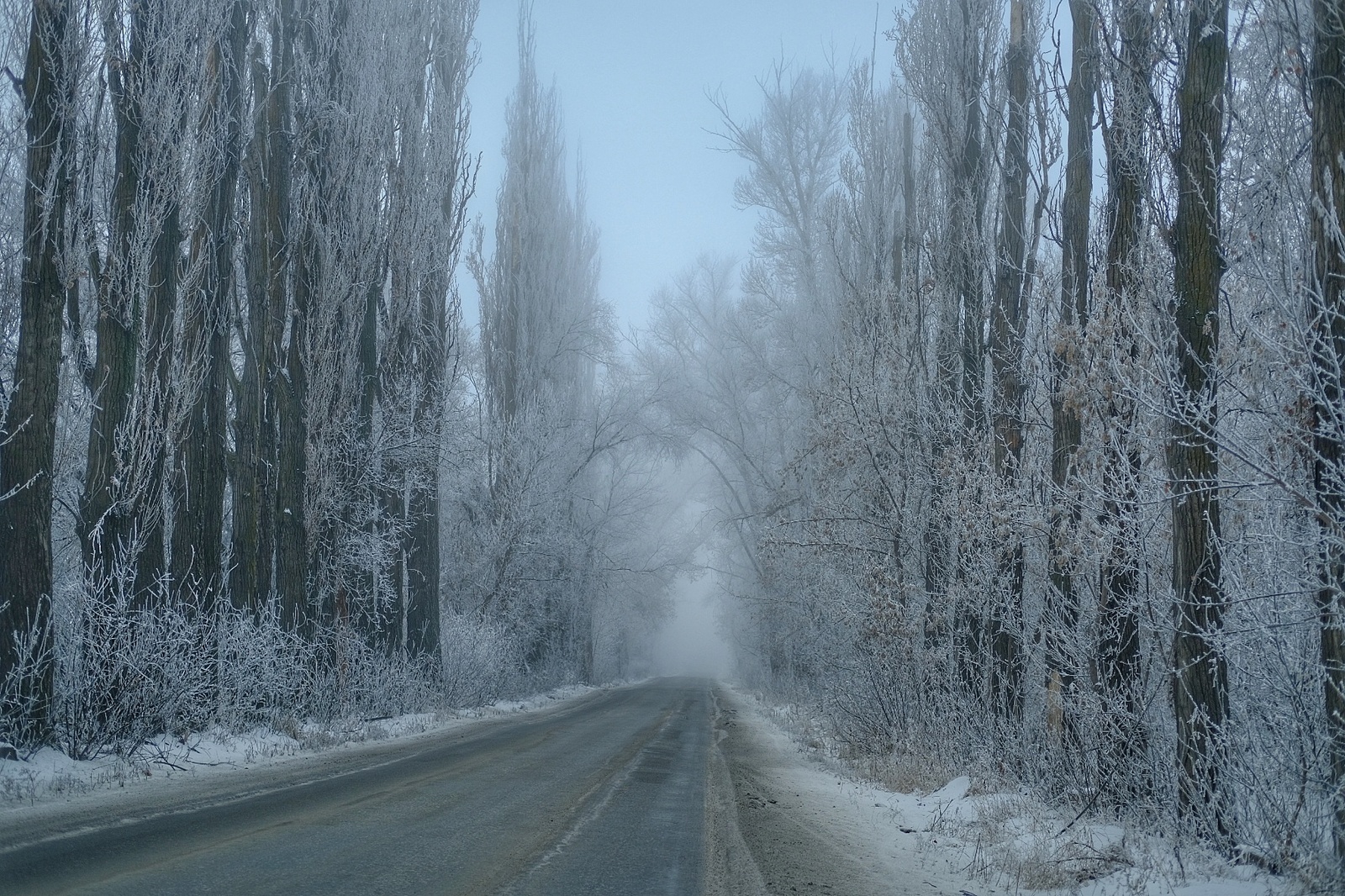 Frosty morning - My, Nature, Almaty Oblast, Longpost