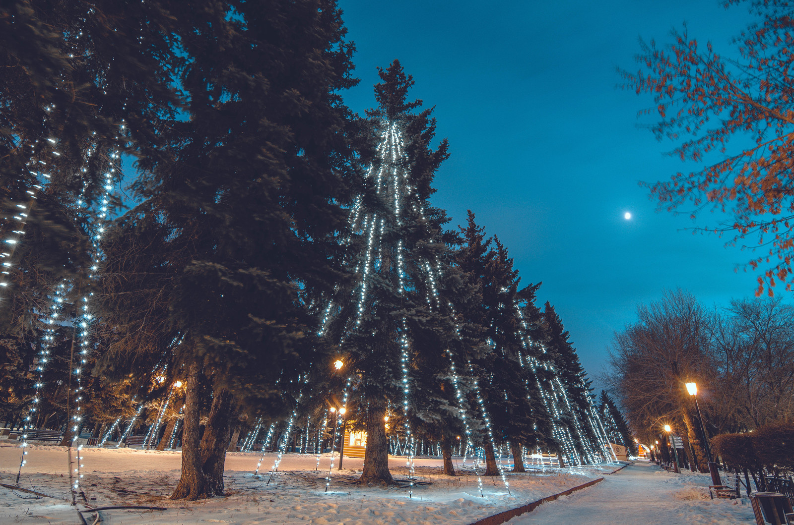 Прогулка в парке - Моё, Nikon, Nikon d5100, Tokina, Красноярск, Центральный парк, Длинная выдержка, Длиннопост