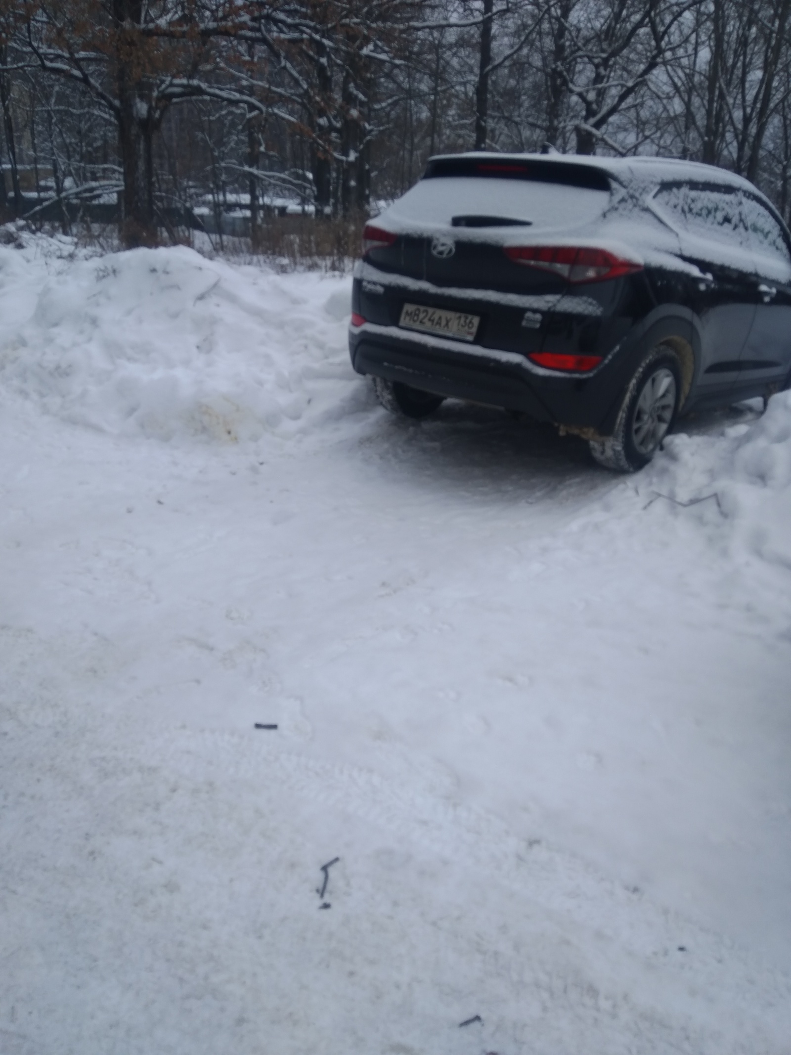 Spontaneous parking in the protected natural area of ??the park - My, Неправильная парковка, Freaks, Longpost