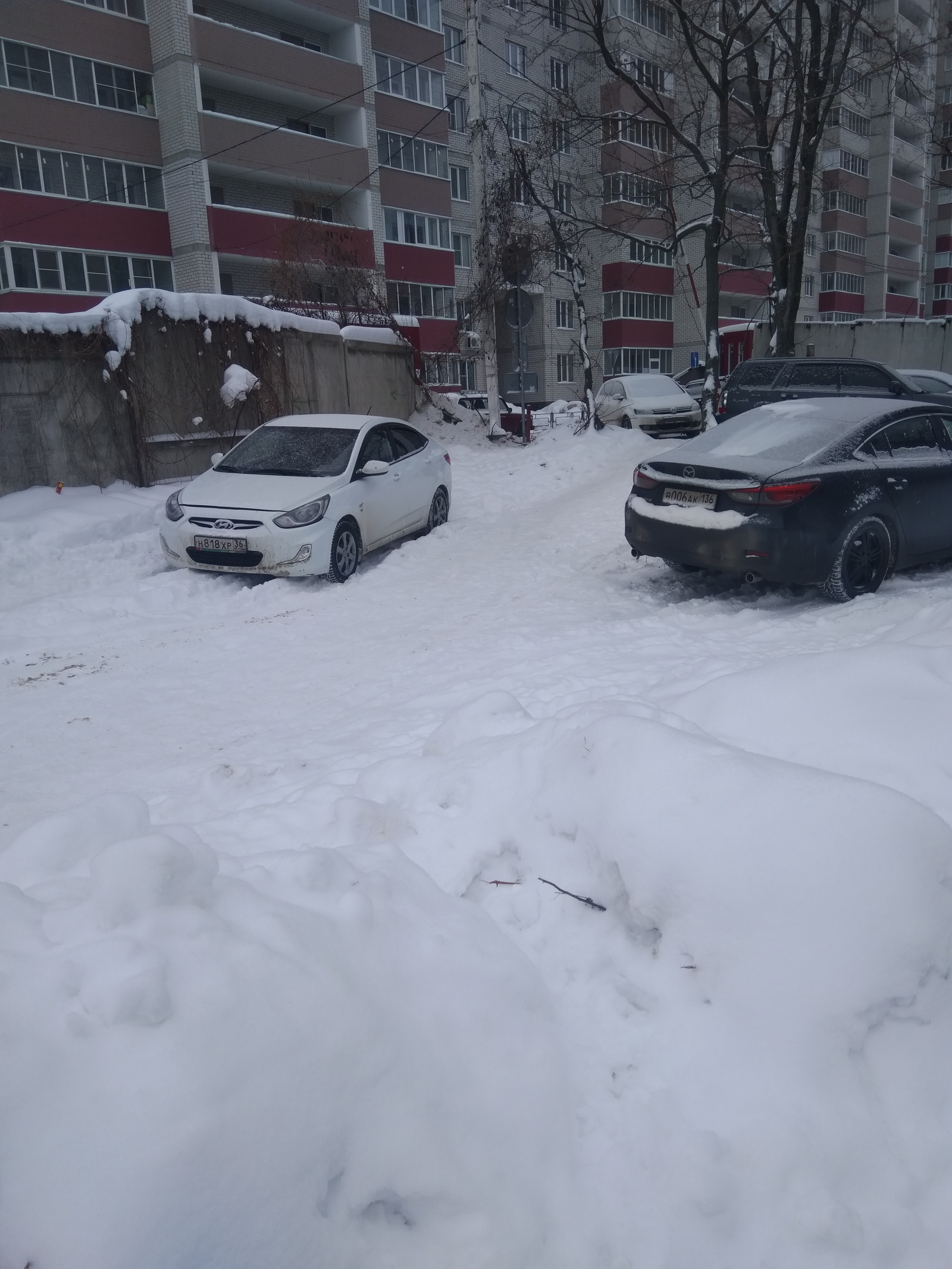 Spontaneous parking in the protected natural area of ??the park - My, Неправильная парковка, Freaks, Longpost