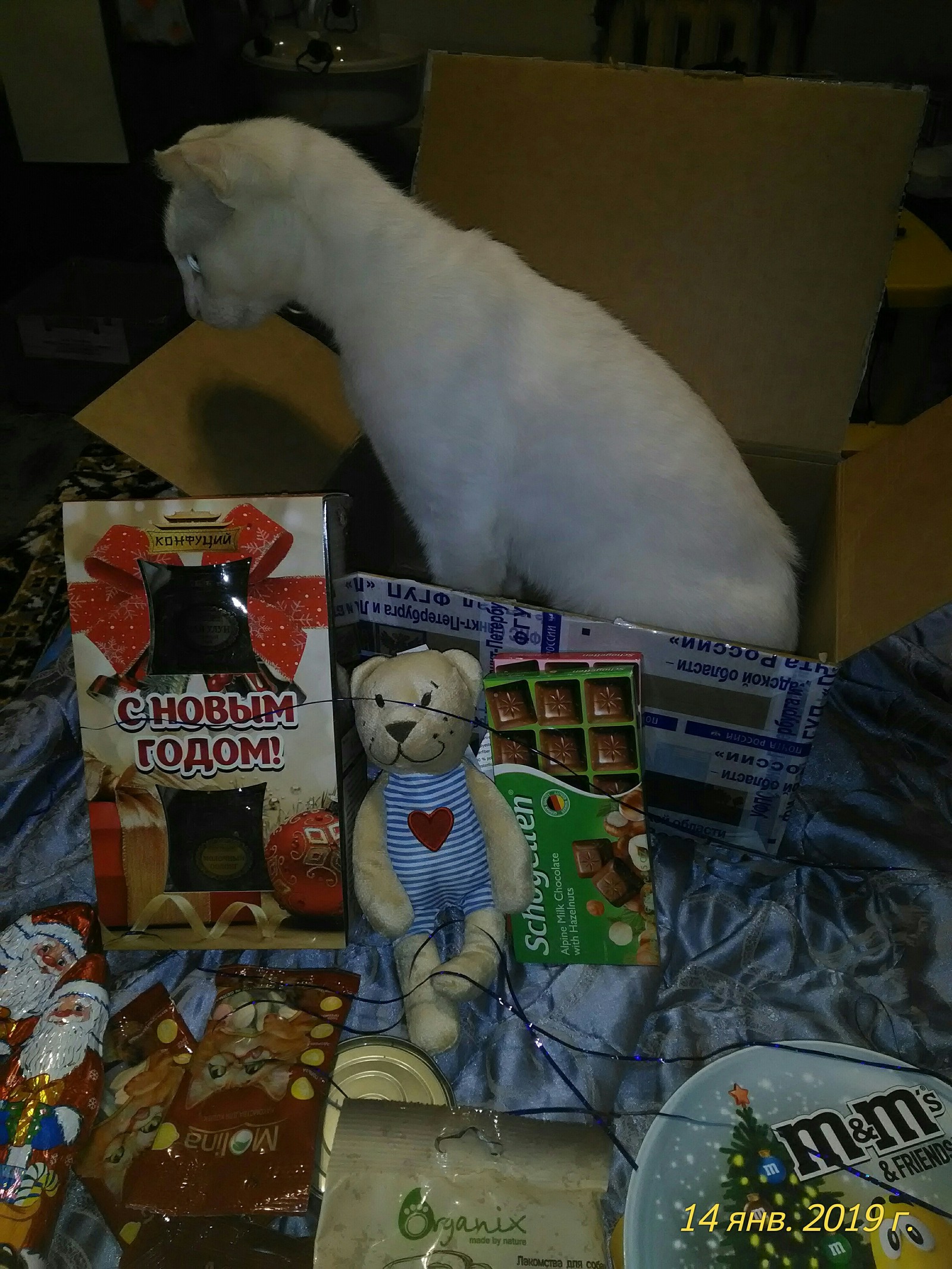 Santa Claus from St. Petersburg to Usolye-Sibirskoye - Gift exchange report, Gift exchange, cat, New Year, Longpost