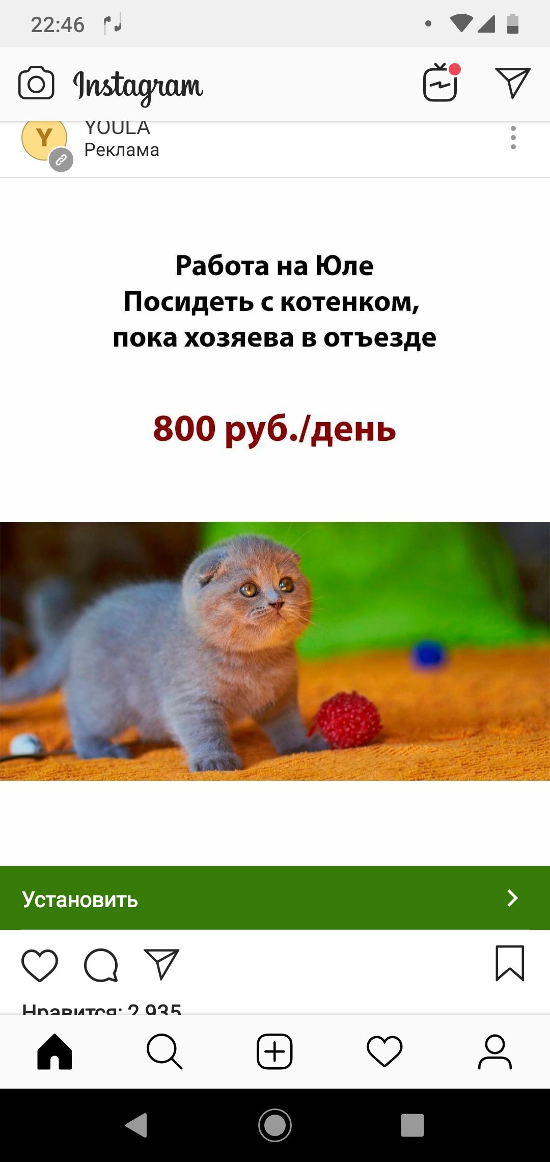 Advertising on the website ) - My, Advertising, cat, Nurse, Longpost, Yula