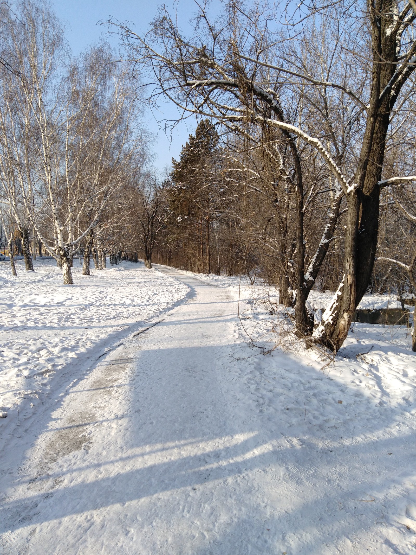 Our park - My, Photo on sneaker, Winter