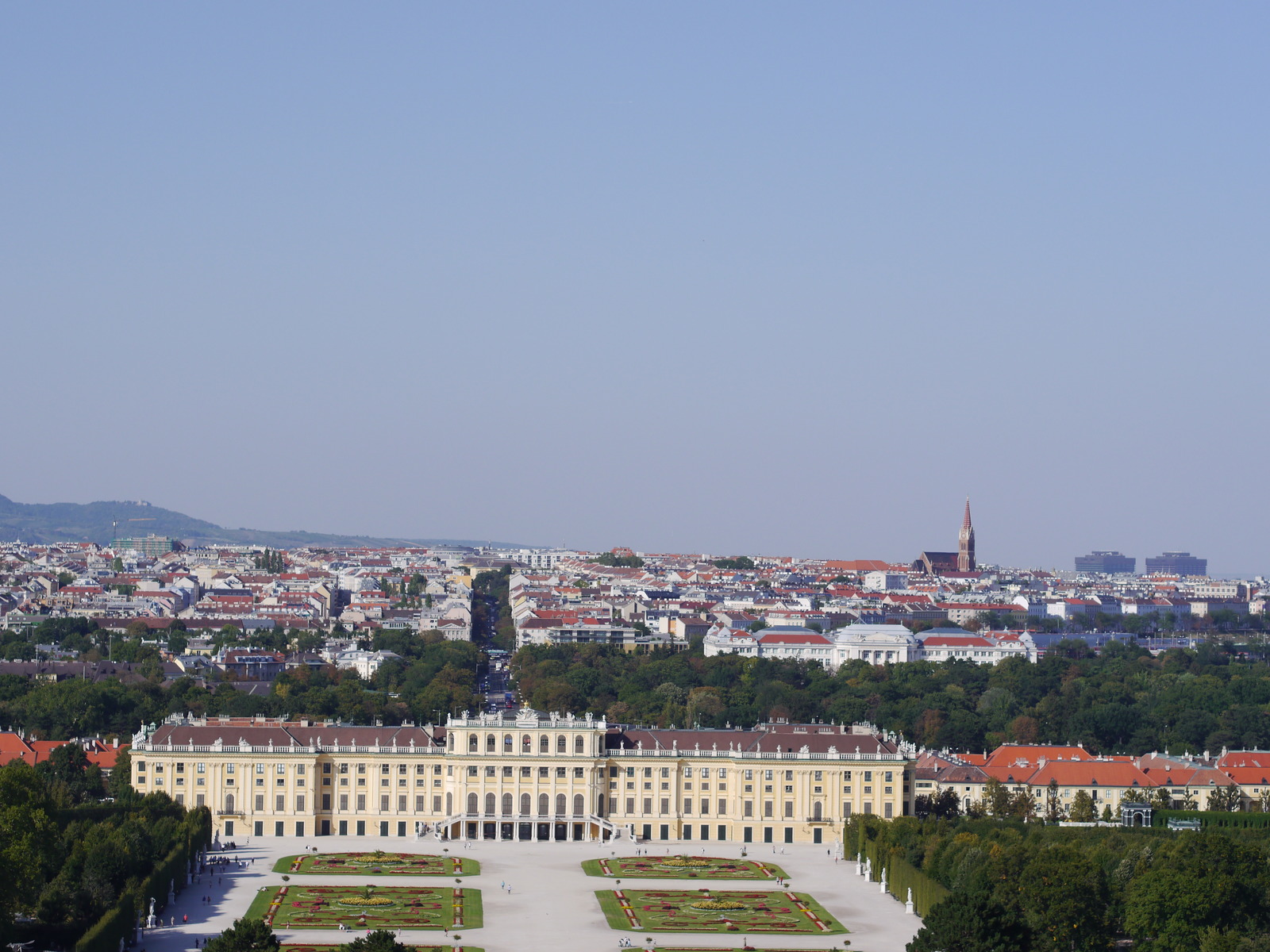 Schonbrunn-dacha of emperors. - My, Vein, SchГ¶nbrunn, Longpost