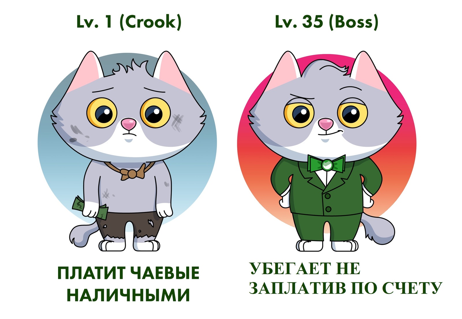 Successful cat - My, Sberkot, Memes